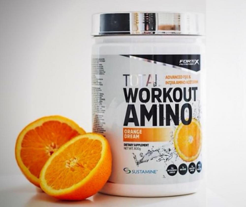 Fortix Total Workout Amino